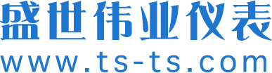 盛世伟业仪表