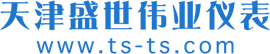 盛世伟业仪表